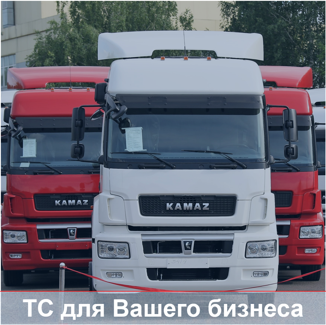 Транспортные средства для бизнеса